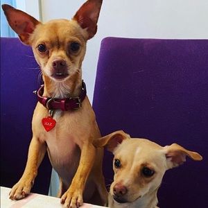 Meet your Posher, Cinzia